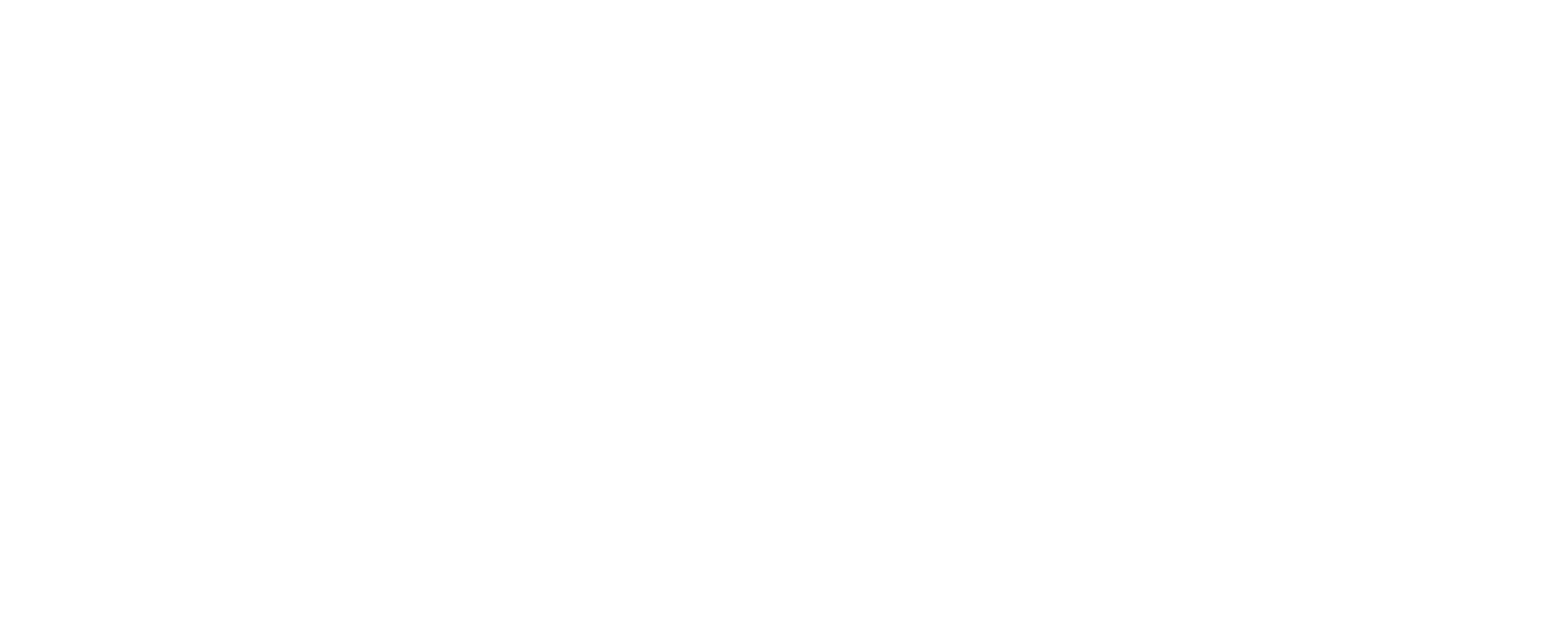 interbrokers insurance white logo